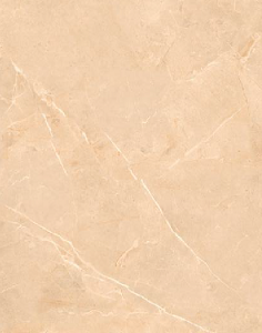 Gạch ốp lát Á mỹ kích thước 60cm x120cm 21.A.612.1912