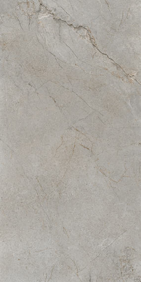 Gach-A-my-60x120-21.B.612.2854-3
