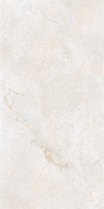 Gach-A-my-60x120-21.B.612.2856-4