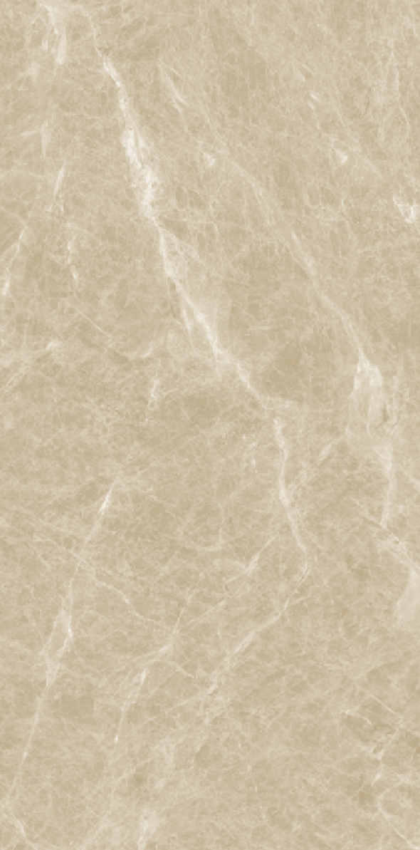 Gach-A-my-60x120-21.B.612.2867-2