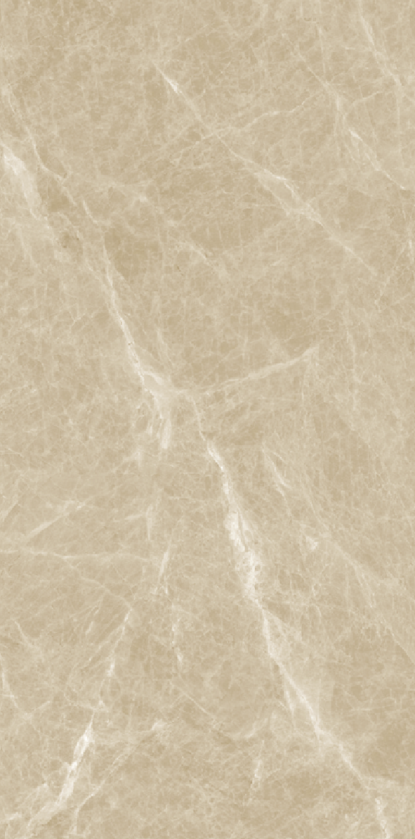 Gach-A-my-60x120-21.B.612.2867-3