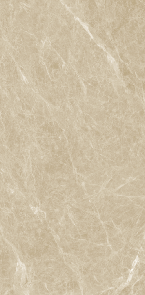 Gach-A-my-60x120-21.B.612.2867-7