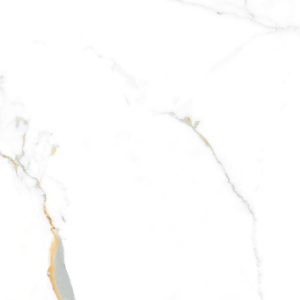 Gach-A-my-80x80-21.B.880.5520